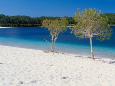 Wit zandstrand met turquoise meer en bomen op Fraser Island, Australië.