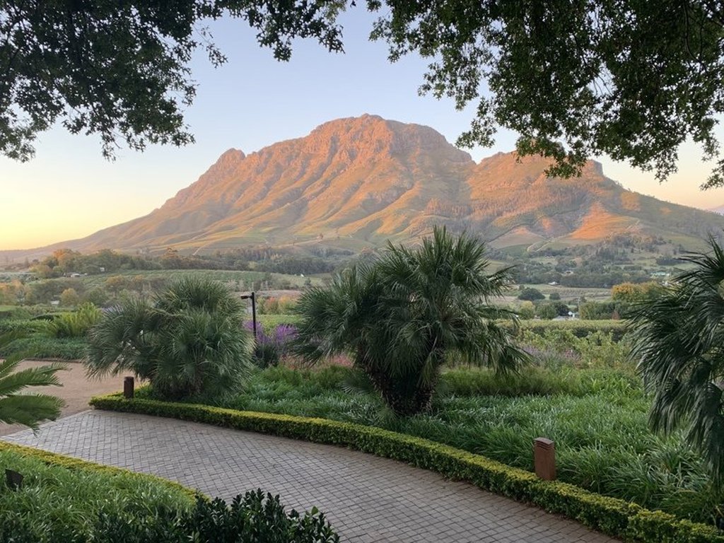 Safarivoertuig met reizigers in de bush tijdens groepsrondreis Zuid-Afrika Tuinroute.