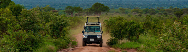 Safari-jeep op zandweg door het groene landschap van Tarangire en Serengeti National Park in Tanzania.