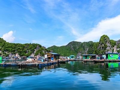 Drijvend vissersdorp in Halongbaai met kleurrijke huizen en kalkstenen rotsen, route Vietnam.