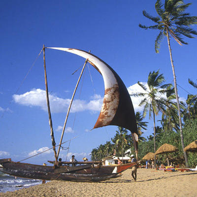 Traditionele vissersboot op het strand van Zuid-India met palmbomen en blauwe lucht.