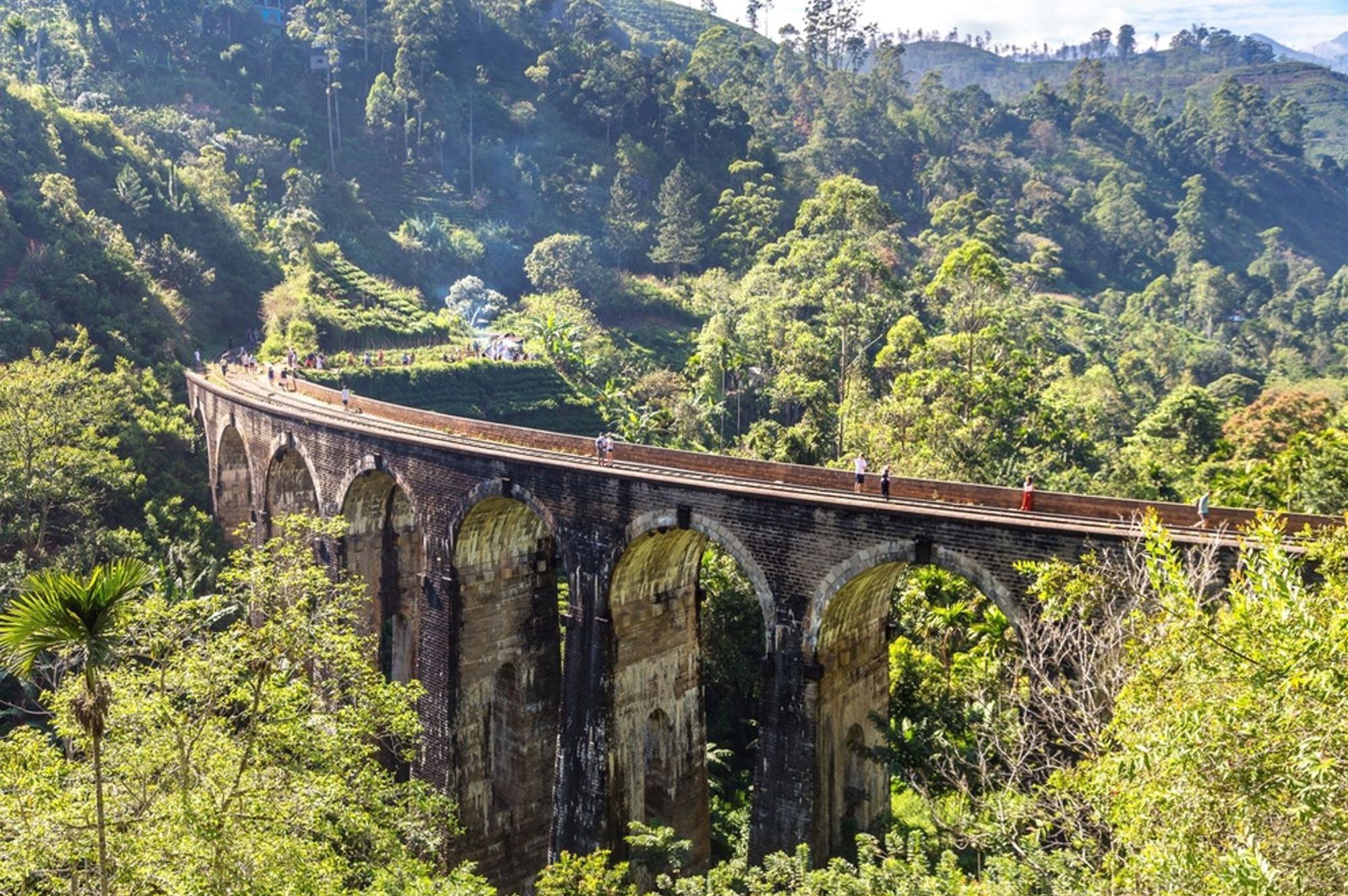 Negenbogenbrug bij Ella in Sri Lanka, omringd door groene heuvels en theeplantages.