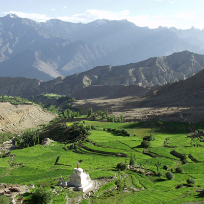 Groene terrassen en boeddhistische stupa in de vallei van Ladakh, met ruige Himalaya-bergen op de achtergrond.