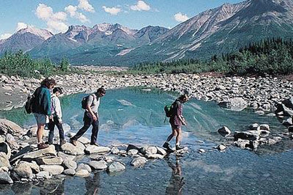 Berglandschap in Alaska met besneeuwde bergtoppen en naaldbomen.