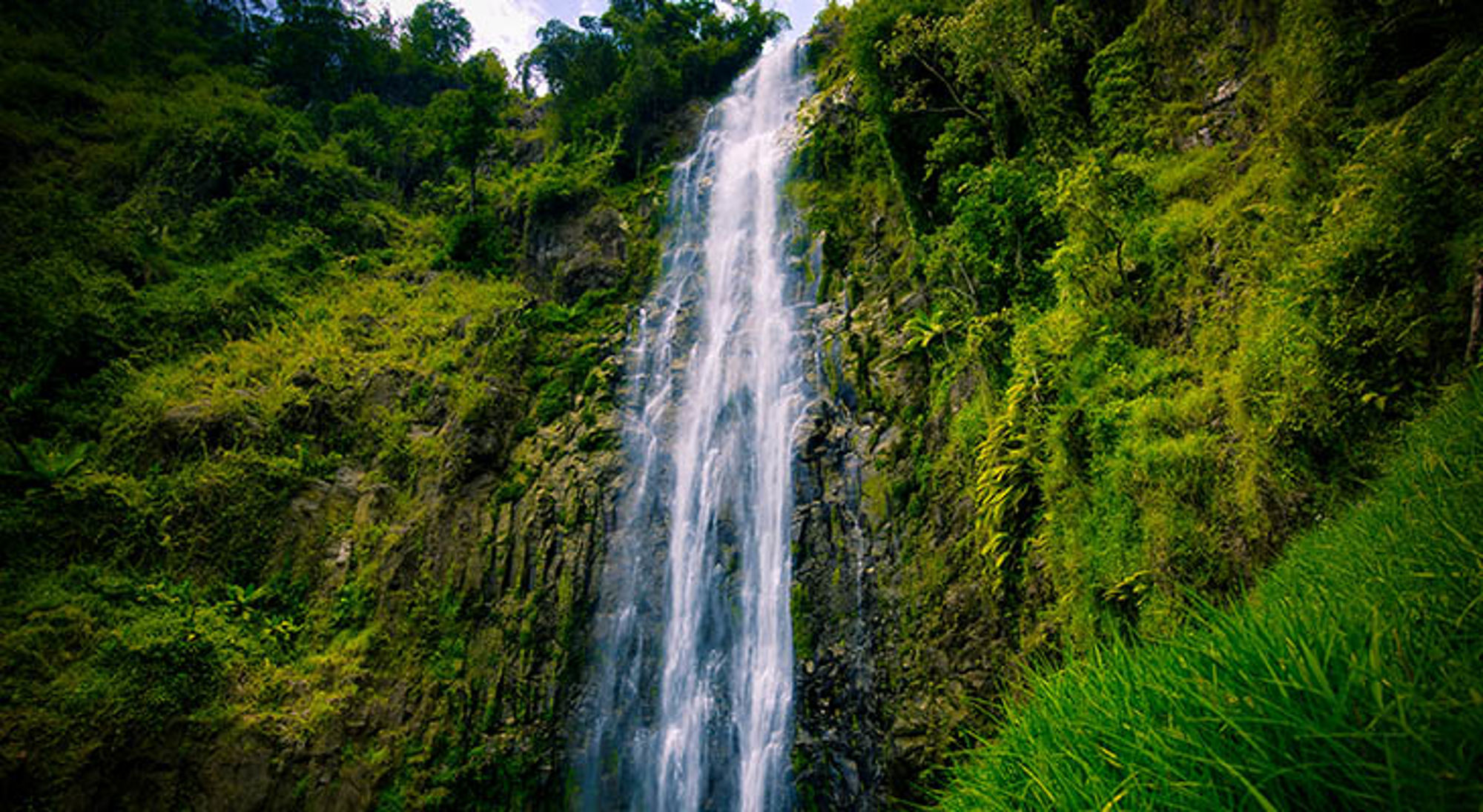 Hoge waterval die langs een rotswand naar beneden stroomt, omringd door weelderig groen in Tanzania.