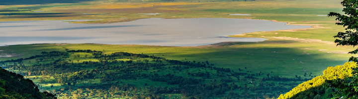 Uitzicht op de Ngorongoro krater met het kratermeer en groene savanne in Tanzania.