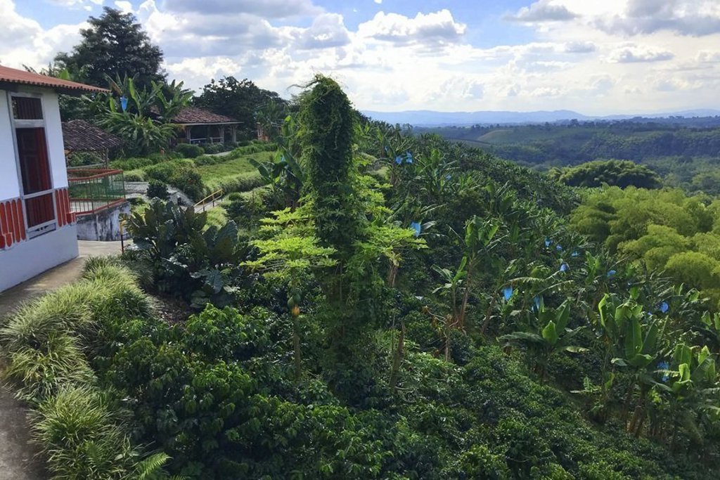 Gekleurde huisjes langs een straat in Colombia tijdens een familiereis.