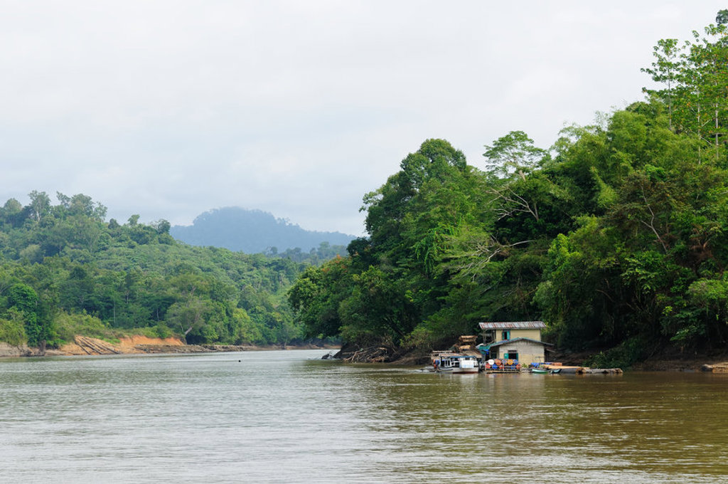 Rivierlandschap met jungle en rivierhuisjes in Kalimantan, Indonesië.