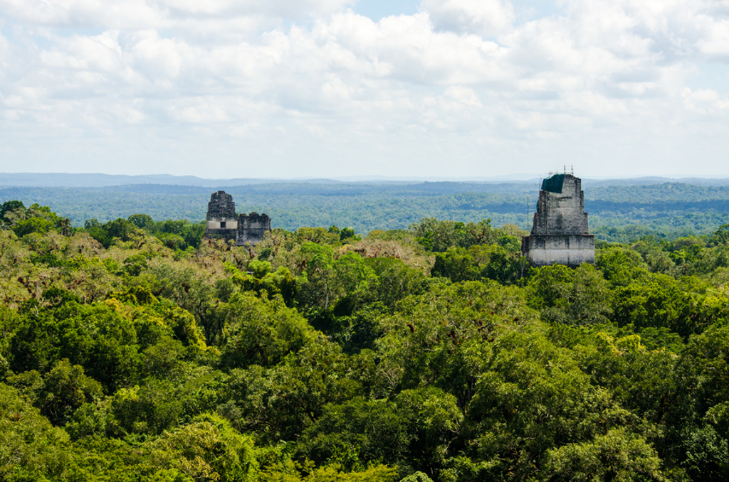 Maya-tempels van Tikal boven het regenwoud in Guatemala, onderdeel van de groepsrondreis Guatemala en Copán.