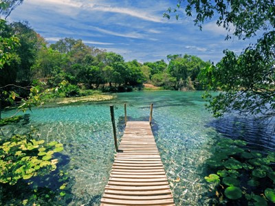 Houten steiger naar een helderblauwe lagune met waterlelies, omringd door groen in Brazilië.