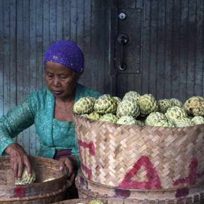 Marktvrouw op Sulawesi sorteert soursopvruchten in rieten manden tijdens een groepsrondreis.