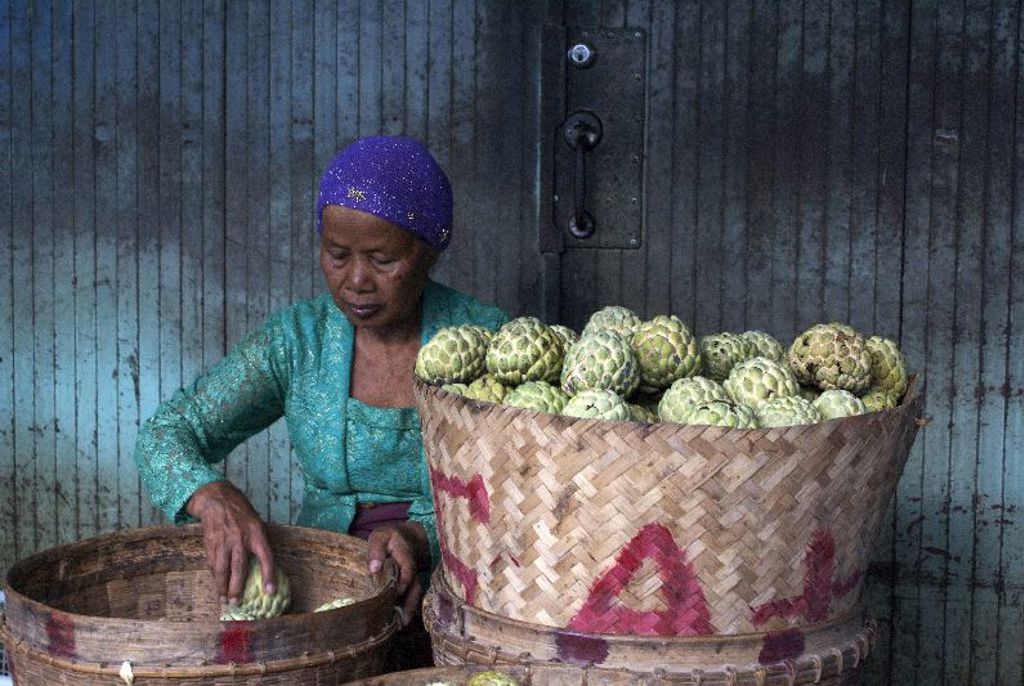 Marktvrouw op Sulawesi sorteert soursopvruchten in rieten manden tijdens een groepsrondreis.