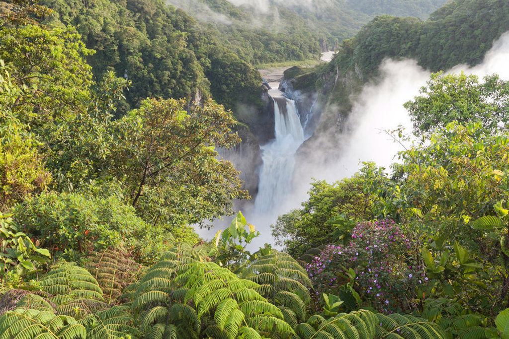 Waterval in het groene regenwoud van Ecuador, omringd door nevel en tropische planten.