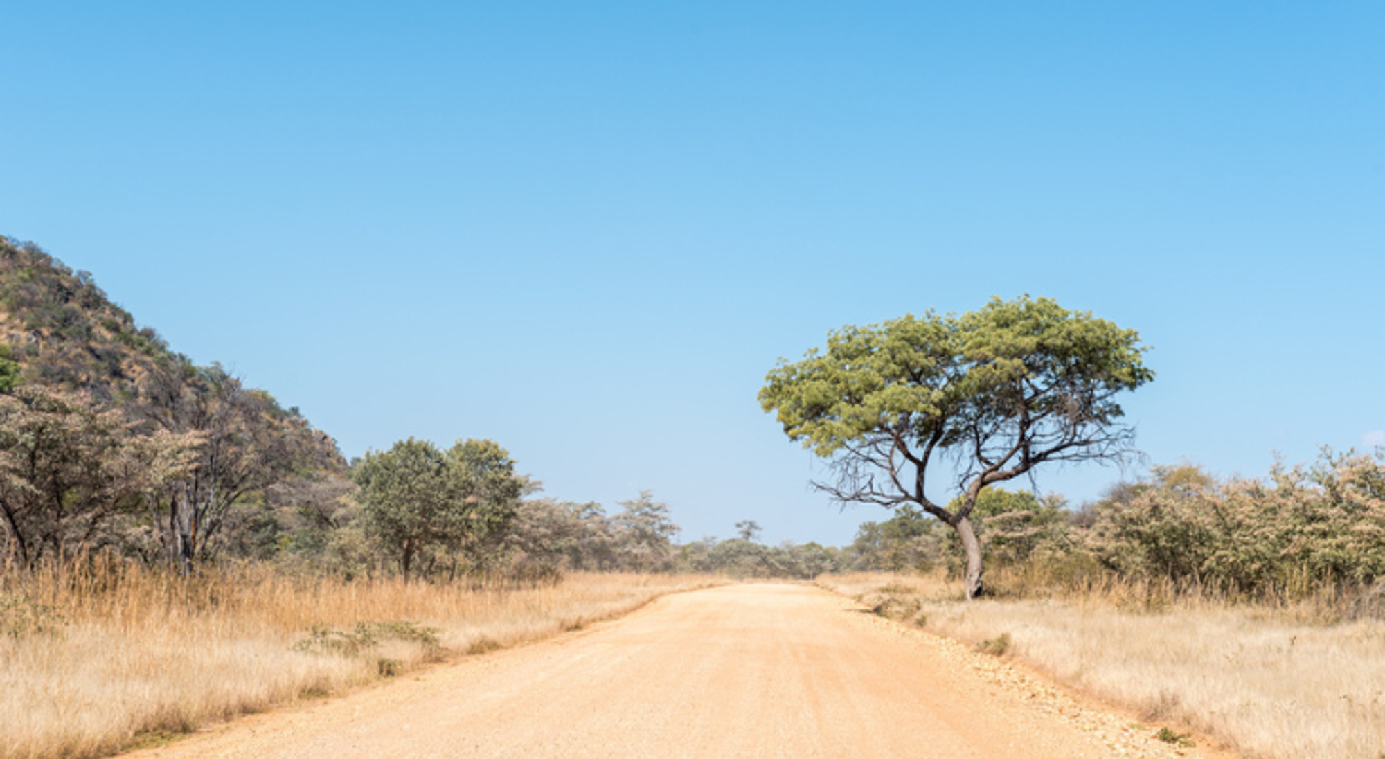 Omgeving van Grootfontein, Namibië Zandweg door de savanne met acaciabomen onder een helderblauwe lucht in Namibië.