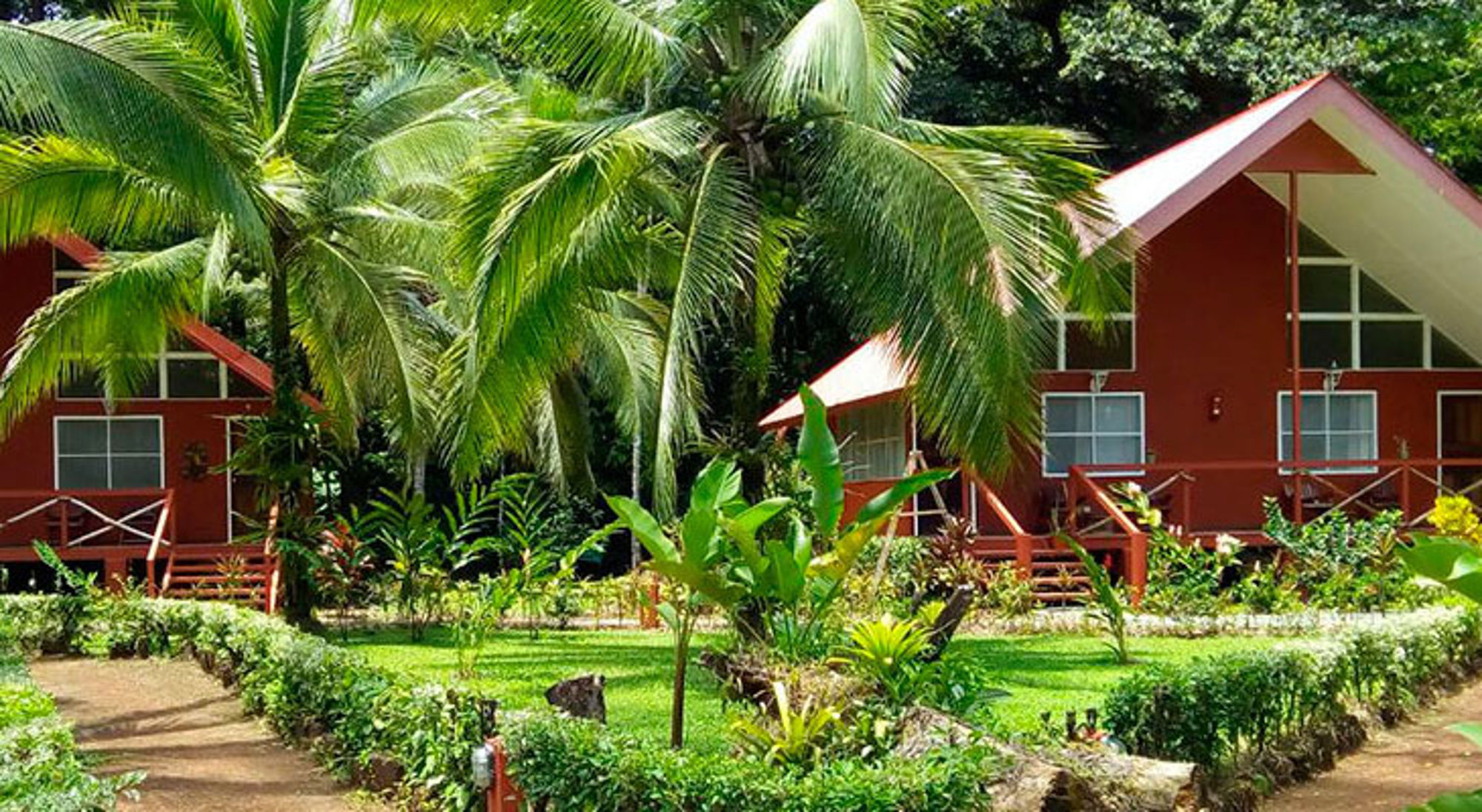 Tropische lodges tussen palmbomen en weelderige tuin in Costa Rica.