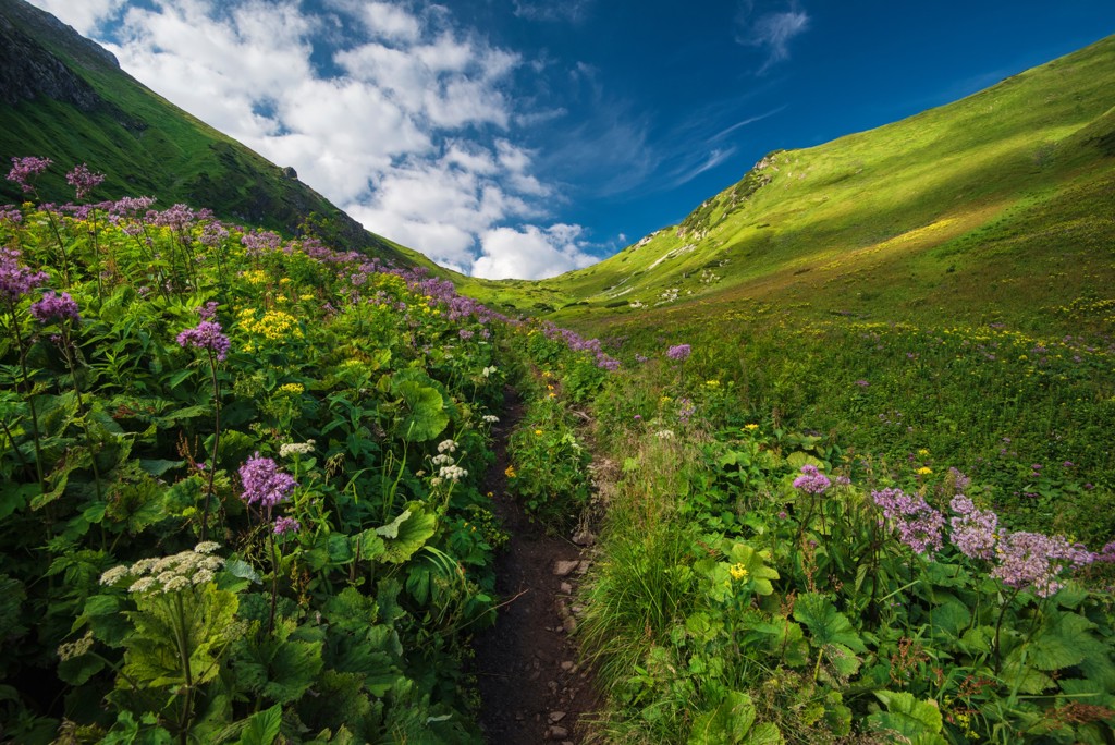 Groene bergvallei met wandelpad en wilde bloemen tijdens groepsrondreis Centraal-Europa met de trein.