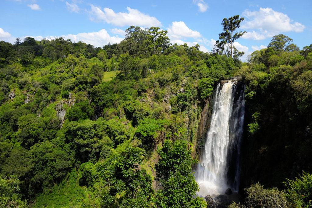 Waterval in groen natuurgebied tijdens groepsrondreis Kenia en Tanzania Totaal.