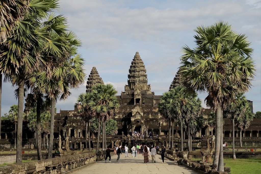 Palmbomen tegen een heldere lucht tijdens een fietsvakantie in Vietnam, Cambodja en Thailand.