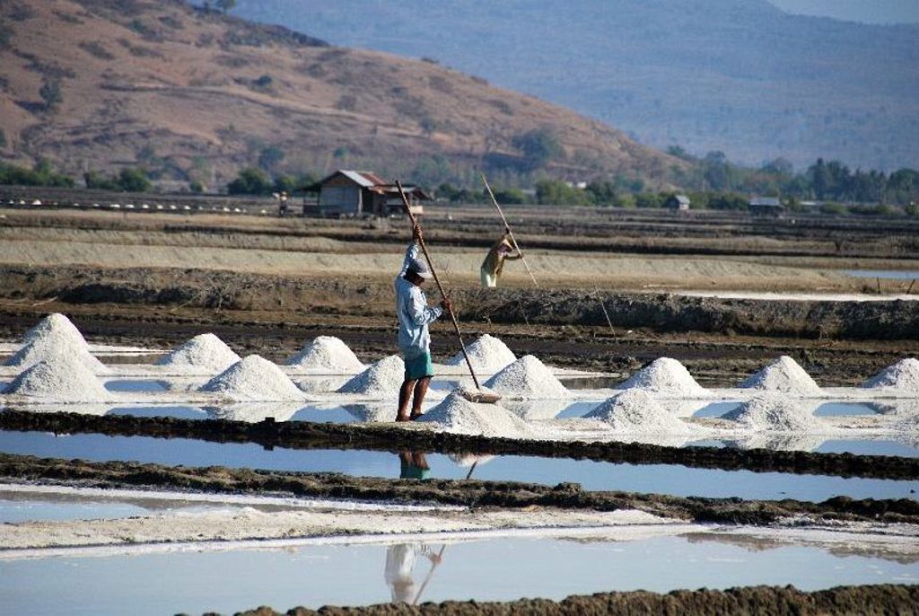 Zoutwinning op de Kleine Sunda eilanden, met zoutpannen en witte zoutheuvels in het landschap.