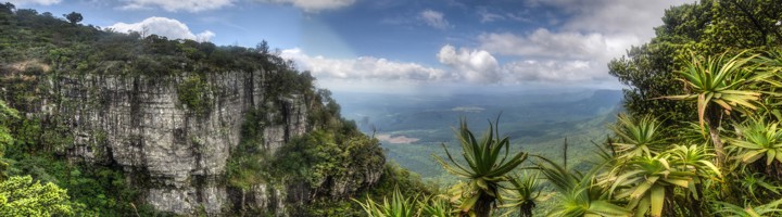 Panorama vanaf Gods Window over de groene vallei en kliffen van de Blyde River Canyon, Zuid-Afrika.