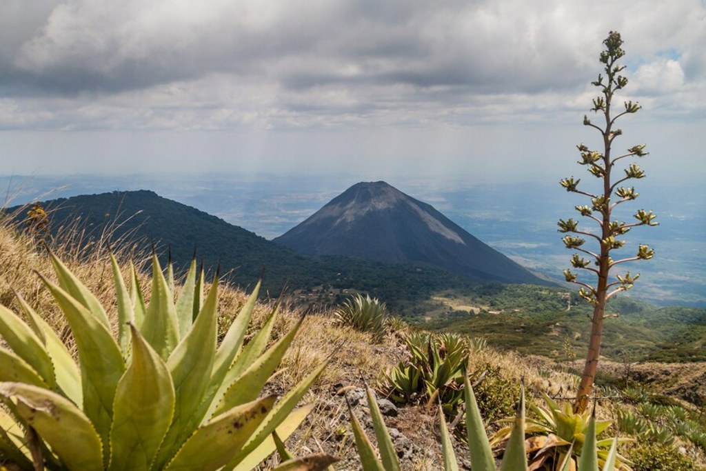 Uitzicht op een vulkaan met agaves op de voorgrond tijdens een 22-35ers reis in Guatemala, Honduras en El Salvador.