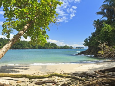 Tropisch strand aan de Costa Ricaanse kust met turquoise zee, zand en groene jungle onder een blauwe lucht.