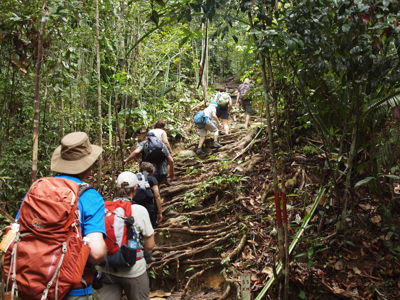 Wandelaars met rugzakken op junglepad tijdens de Route Kalimantan.
