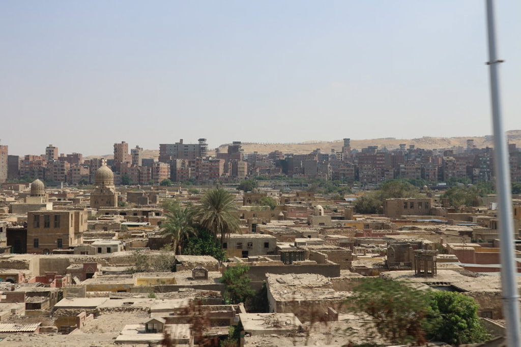 Uitzicht over stad aan de Nijl met moskee en palmbomen tijdens familiereis Egypte.