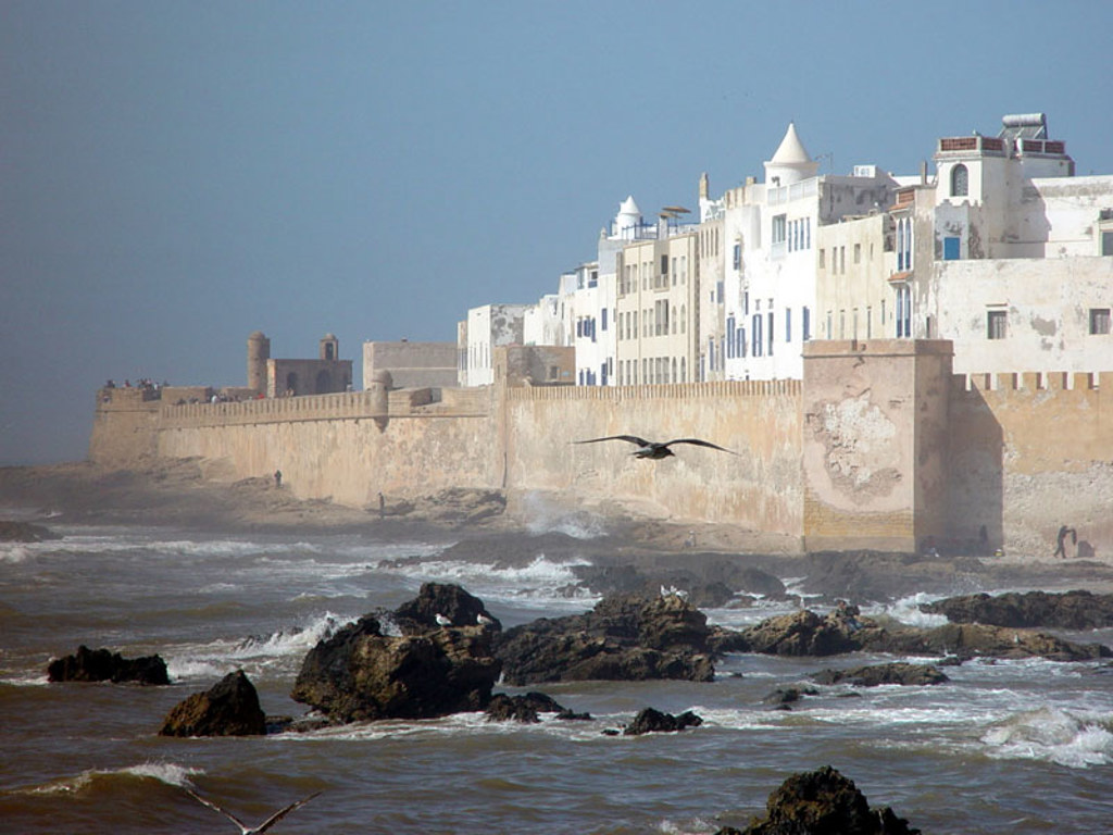 Kustlijn met stadsmuur en witte huizen in Essaouira, Marokko, tijdens groepsrondreis Marokko Hoogtepunten.