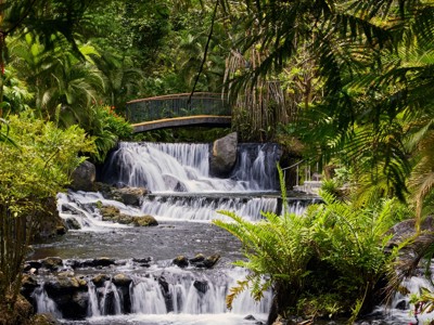 Waterval met brug in weelderig regenwoud langs de Route Costa Rica.