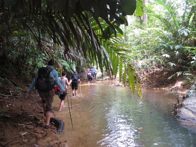 Wandelaars steken een ondiepe rivier over in het regenwoud van Maleisisch Borneo.