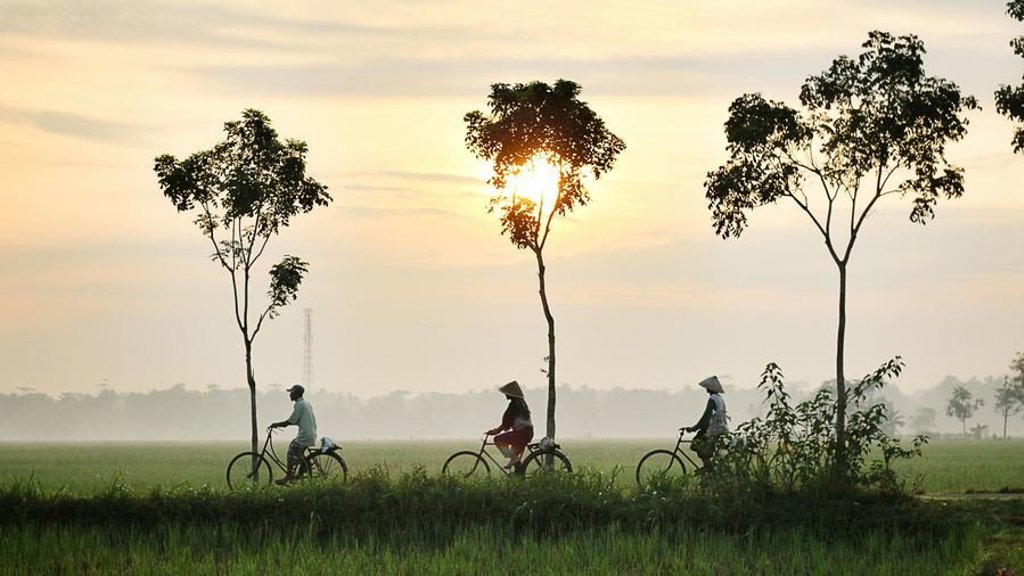 Mistige heuvels met silhouetten van bomen langs de route tijdens een fietsvakantie in Vietnam.