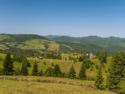 Groene heuvels en sparrenbossen in de Karpaten langs de route door Roemenië.
