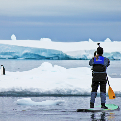 Stand-up paddler tussen ijsschotsen op rustig water, met pinguïn op de achtergrond.