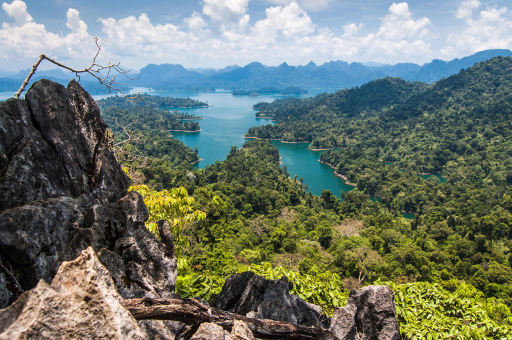 Uitzicht over het Khao Sok Nationaal Park met jungle, kalkstenen rotsen en turquoise stuwmeer in Thailand.