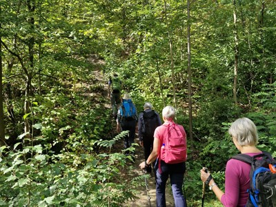 Wandelaars op bospad tijdens de Dutch Mountain Trail.