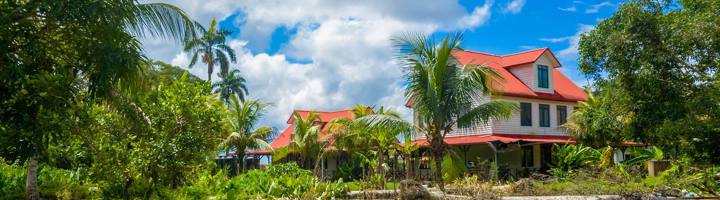 Lodge met rood dak tussen palmbomen in het Surinaamse regenwoud tijdens een rondreis Suriname.