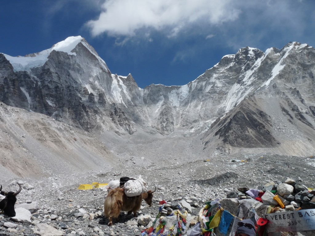Everest Base Camp in Nepal met yaks en tentenkamp tussen besneeuwde bergtoppen.