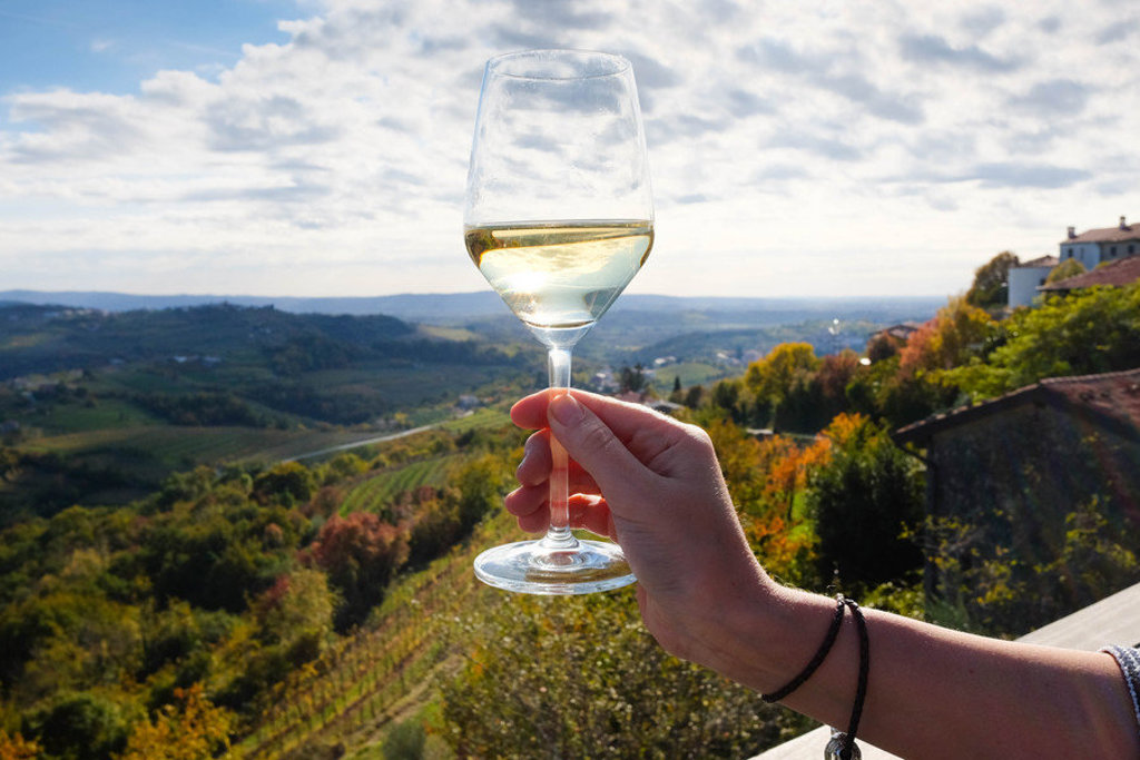 Glas Sloveense witte wijn met uitzicht over wijngaarden en heuvels tijdens een groepsrondreis Slovenië.