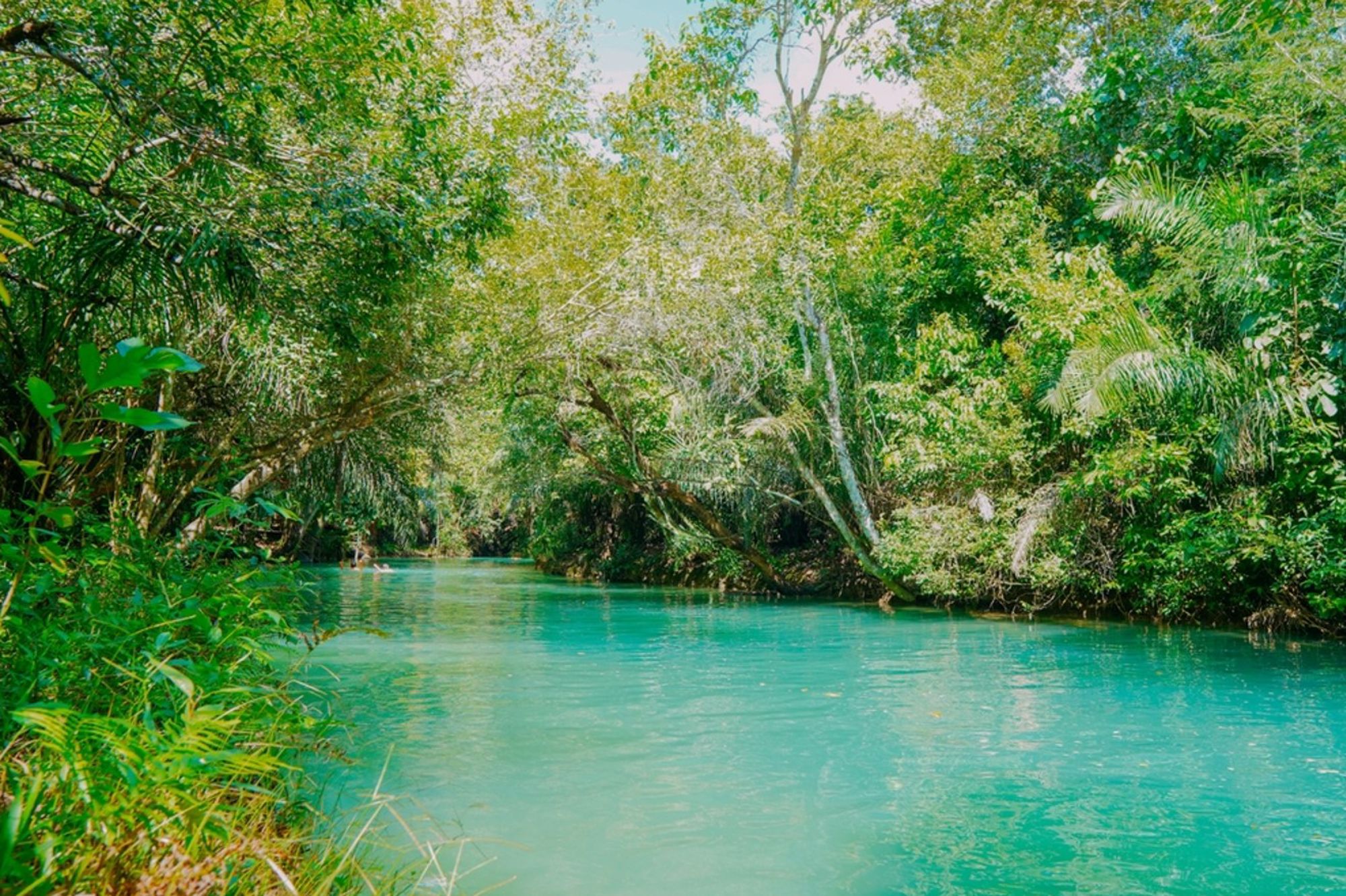 Turquoise rivier in een tropisch bos in Brazilië.