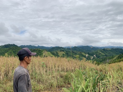 Man kijkt uit over groene heuvels en junglelandschap op Borneo tijdens de route West Maleisië & Borneo.