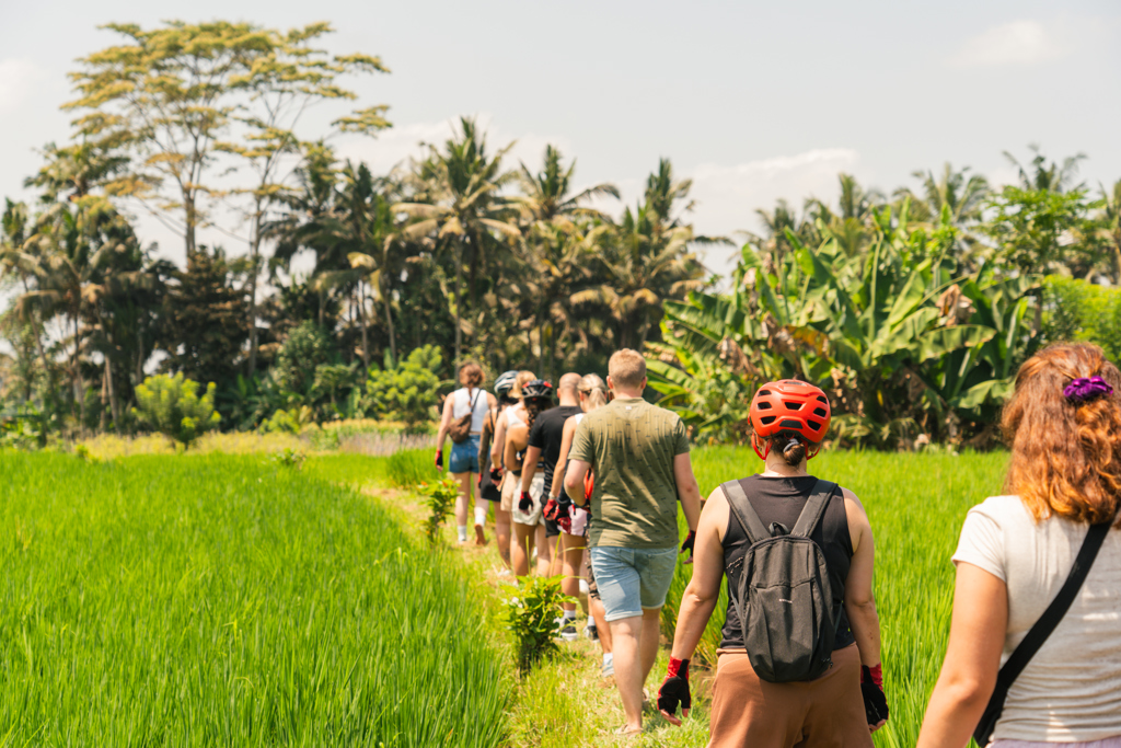 Groep wandelt door rijstvelden op Java tijdens een 22-35ers reis Indonesië: Java en Bali.