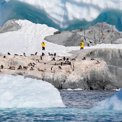 Koningspinguïns in de sneeuw tijdens een groepsrondreis Antarctica, S. Georgia en de Poolcirkel.