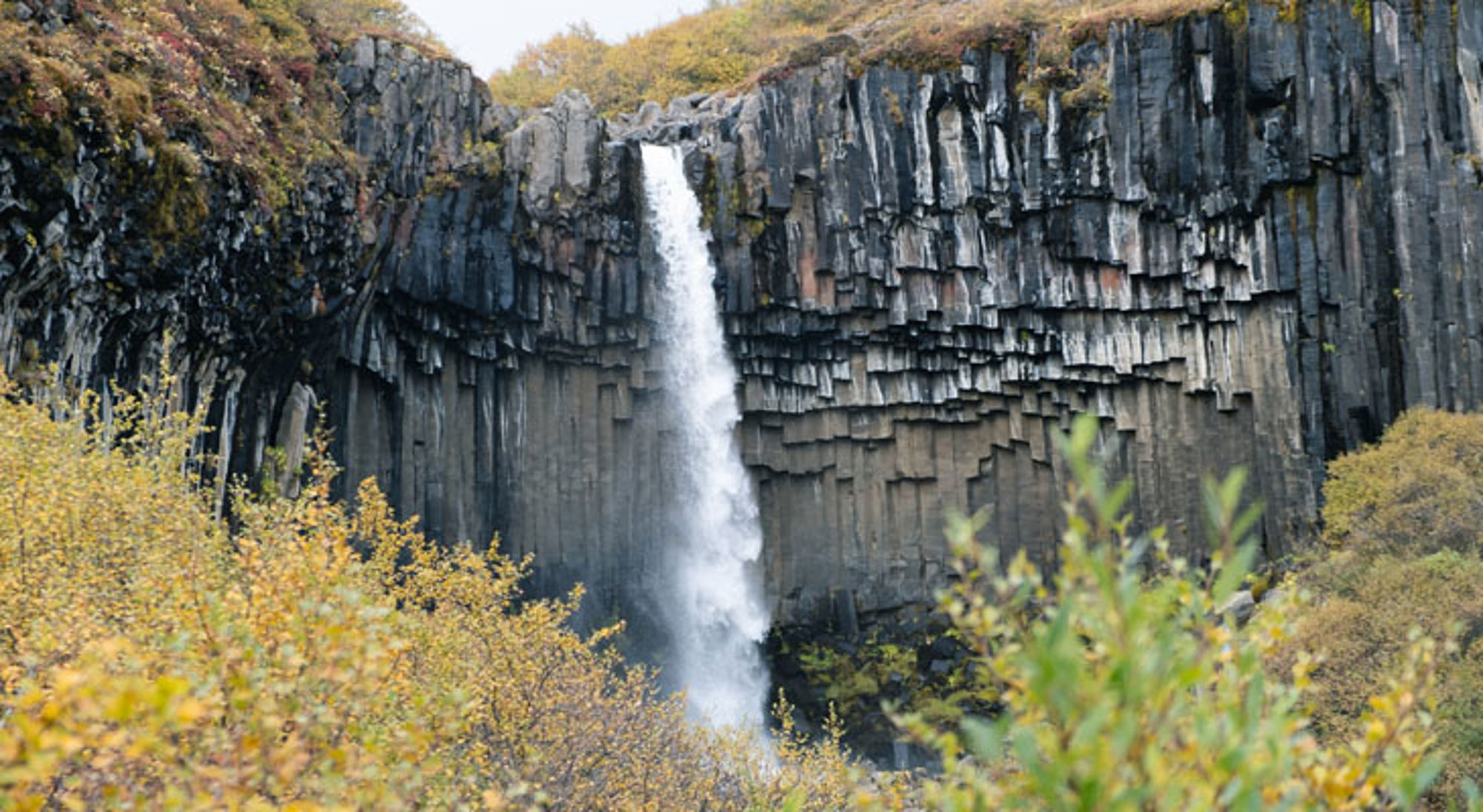 Svartifoss-waterval in IJsland, omringd door donkere basaltkolommen en herfstkleurige begroeiing.