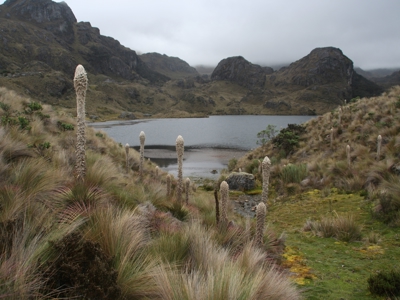Bergmeer in Nationaal Park Cajas in Ecuador, omringd door ruige bergen en páramo-vegetatie.