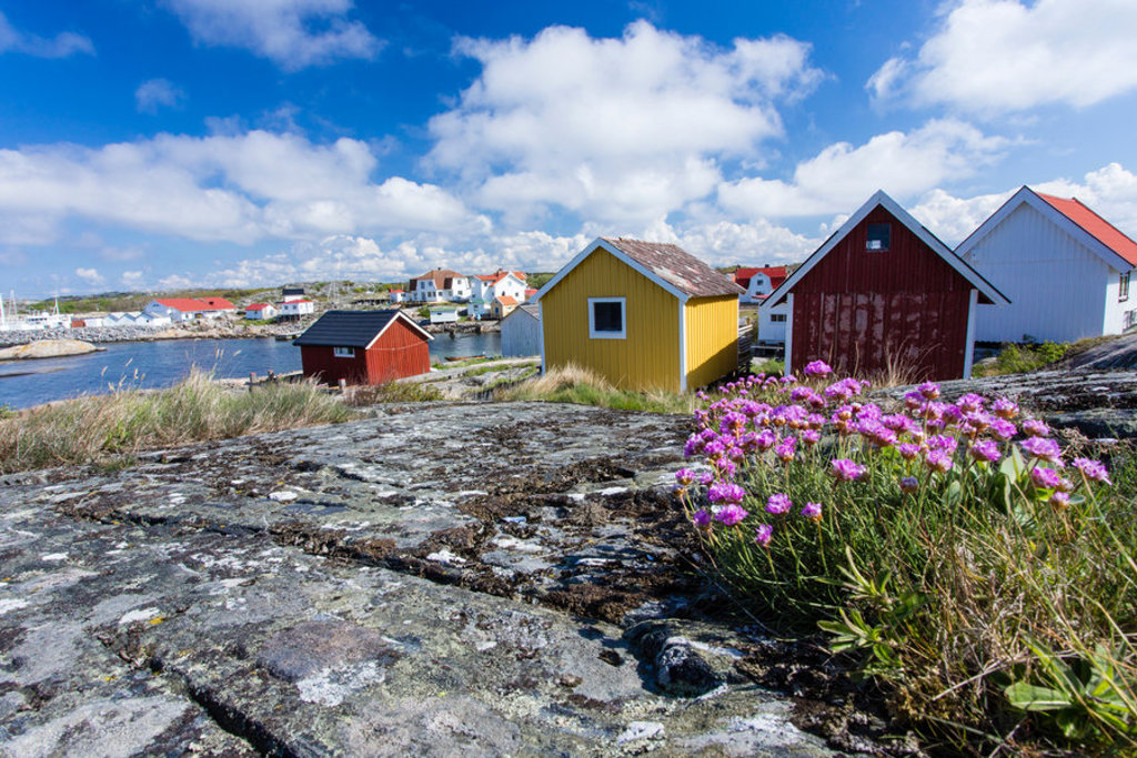 Kleurrijke houten huisjes aan de kust in Scandinavië, met rotsen en paarse bloemen op de voorgrond.