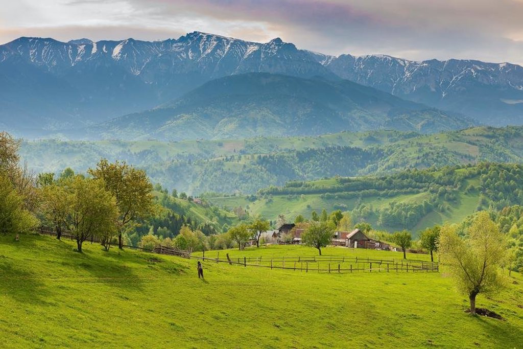 Groepsrondreis Roemenië: panoramisch uitzicht op groene heuvels en bergen.