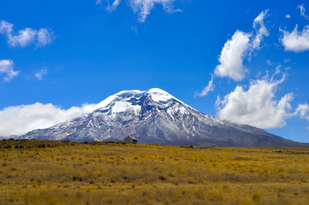 Sneeuwbedekte vulkaan in Ecuador onder een blauwe lucht, gezien vanaf de hoogvlakte tijdens een familiereis.