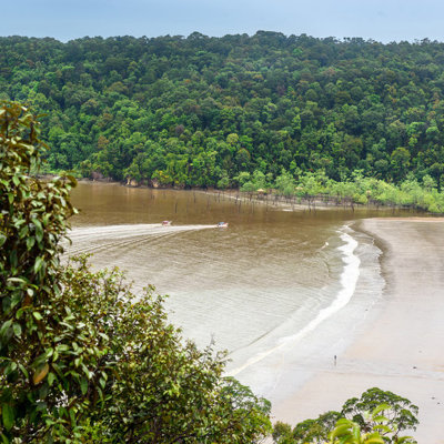 Groene jungle en brede riviermonding met zandstrand in Maleisisch Borneo.