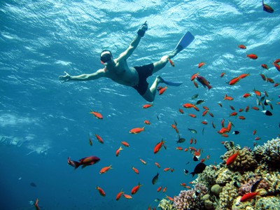 Snorkelaar boven een koraalrif met kleurrijke vissen in de Rode Zee, Egypte.